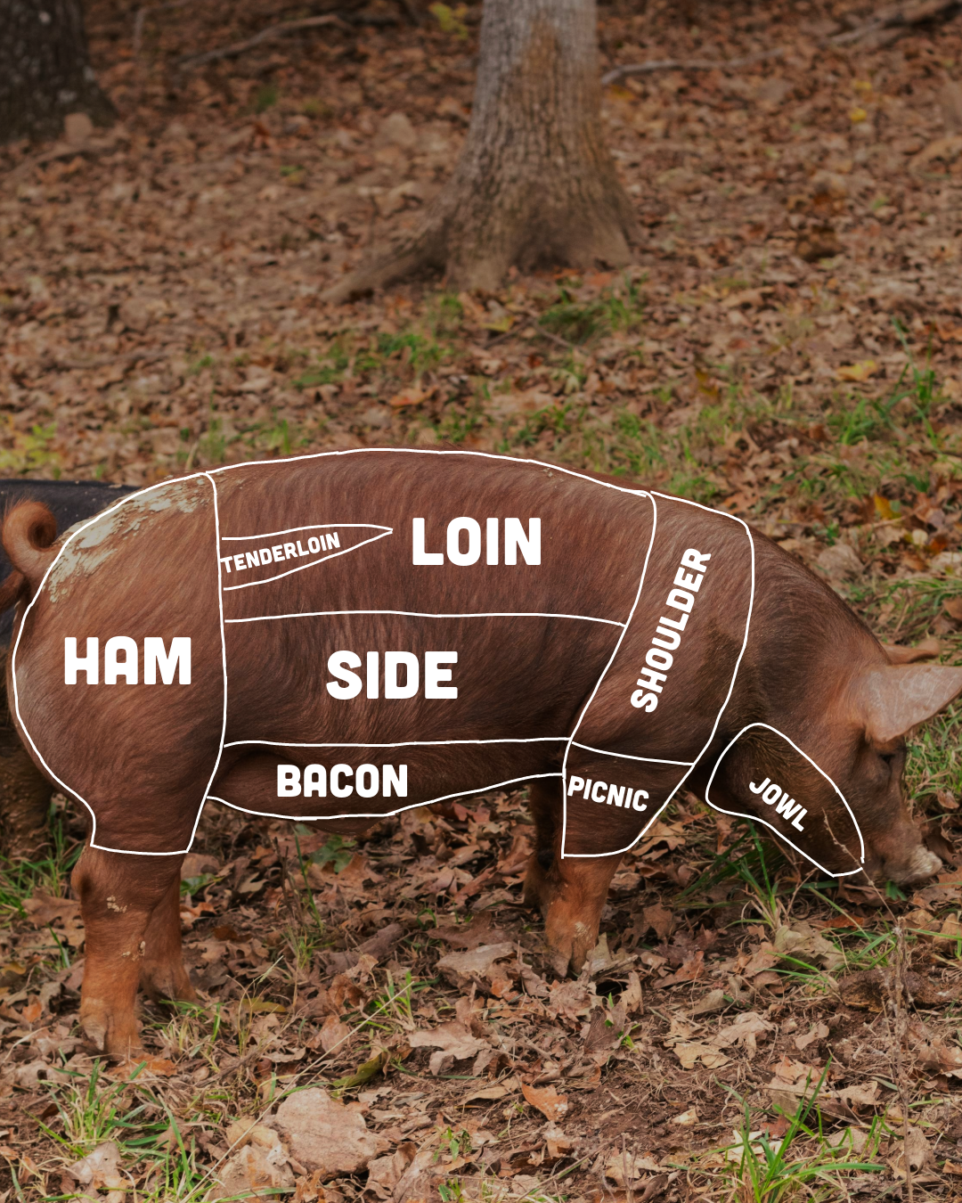 Pork Breakfast Bundle ($100 value)