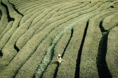 What are core memories? Plus, 9 ways to create more — Calm Blog