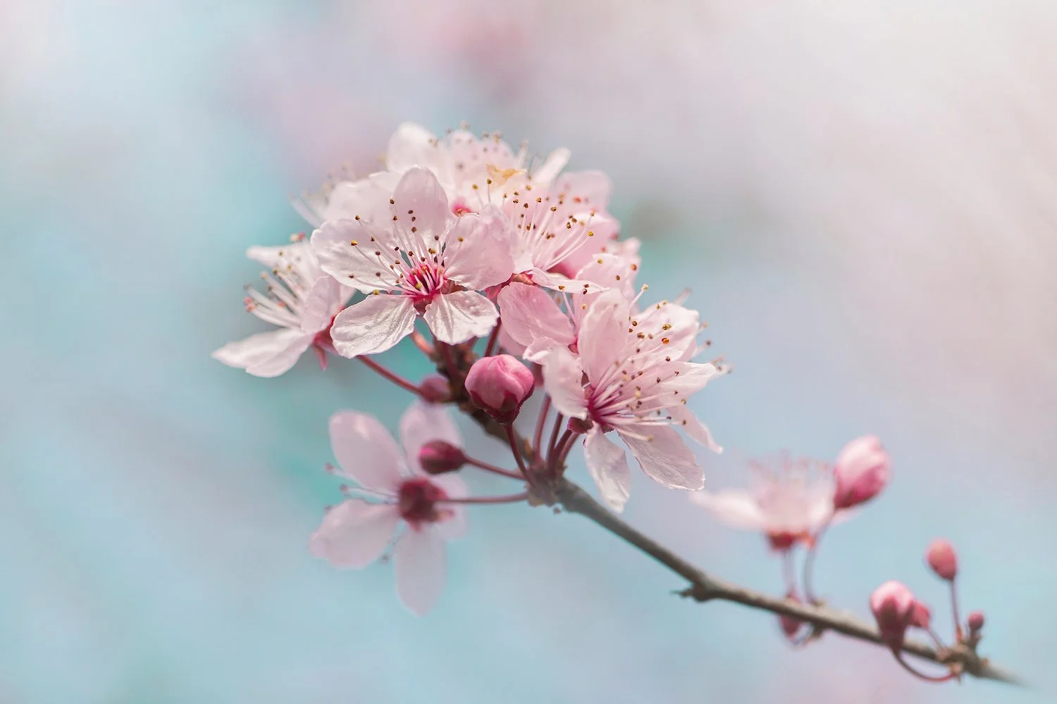 give yourself grace