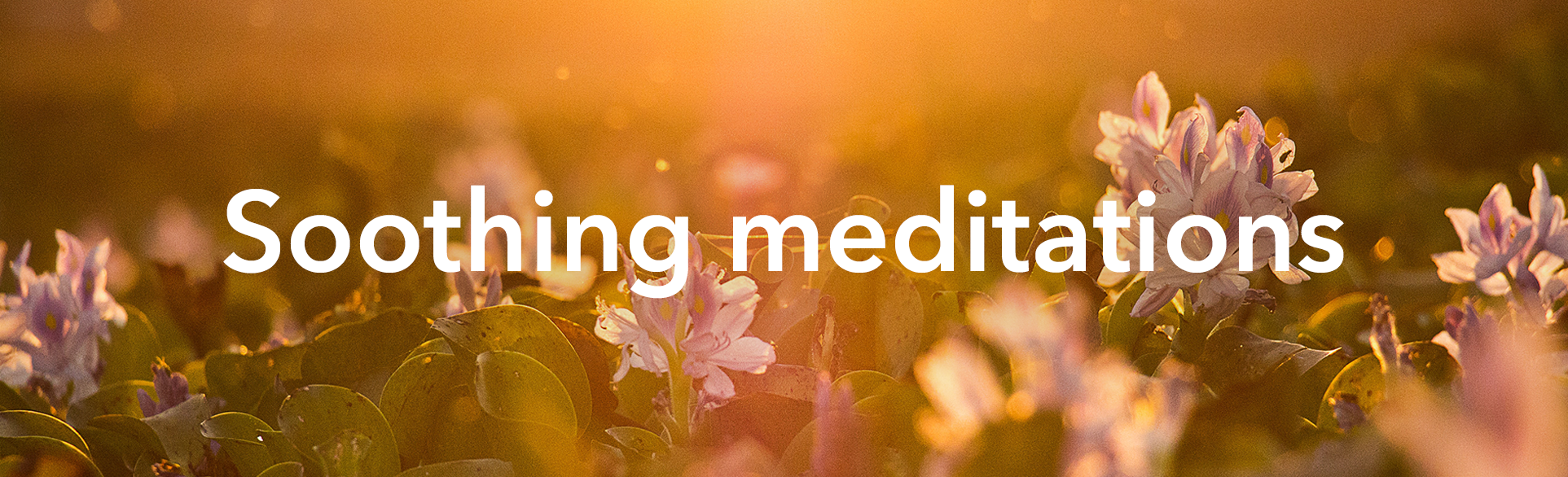 Soothing Meditations.png
