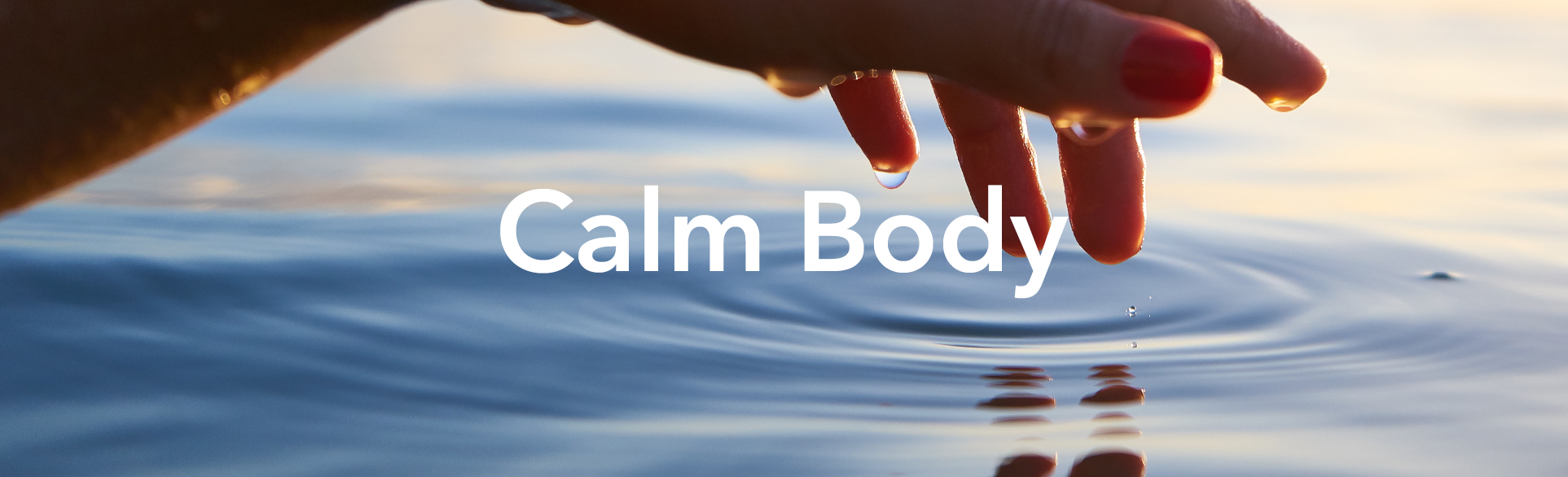 Calm Body.png