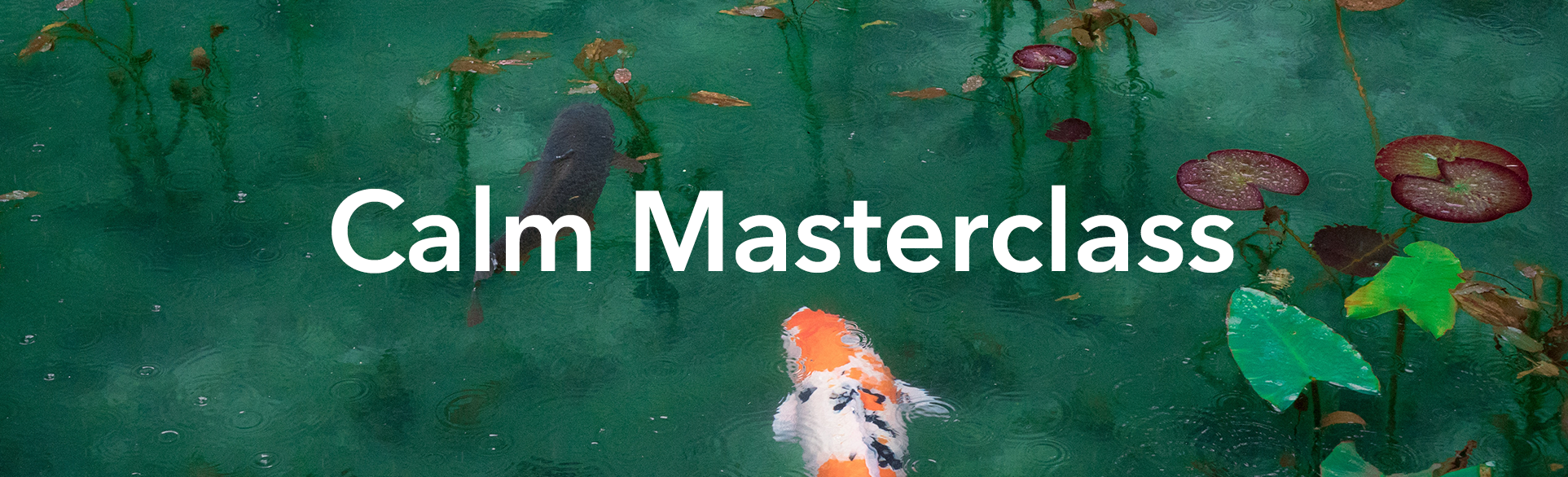 Calm Masterclass.png