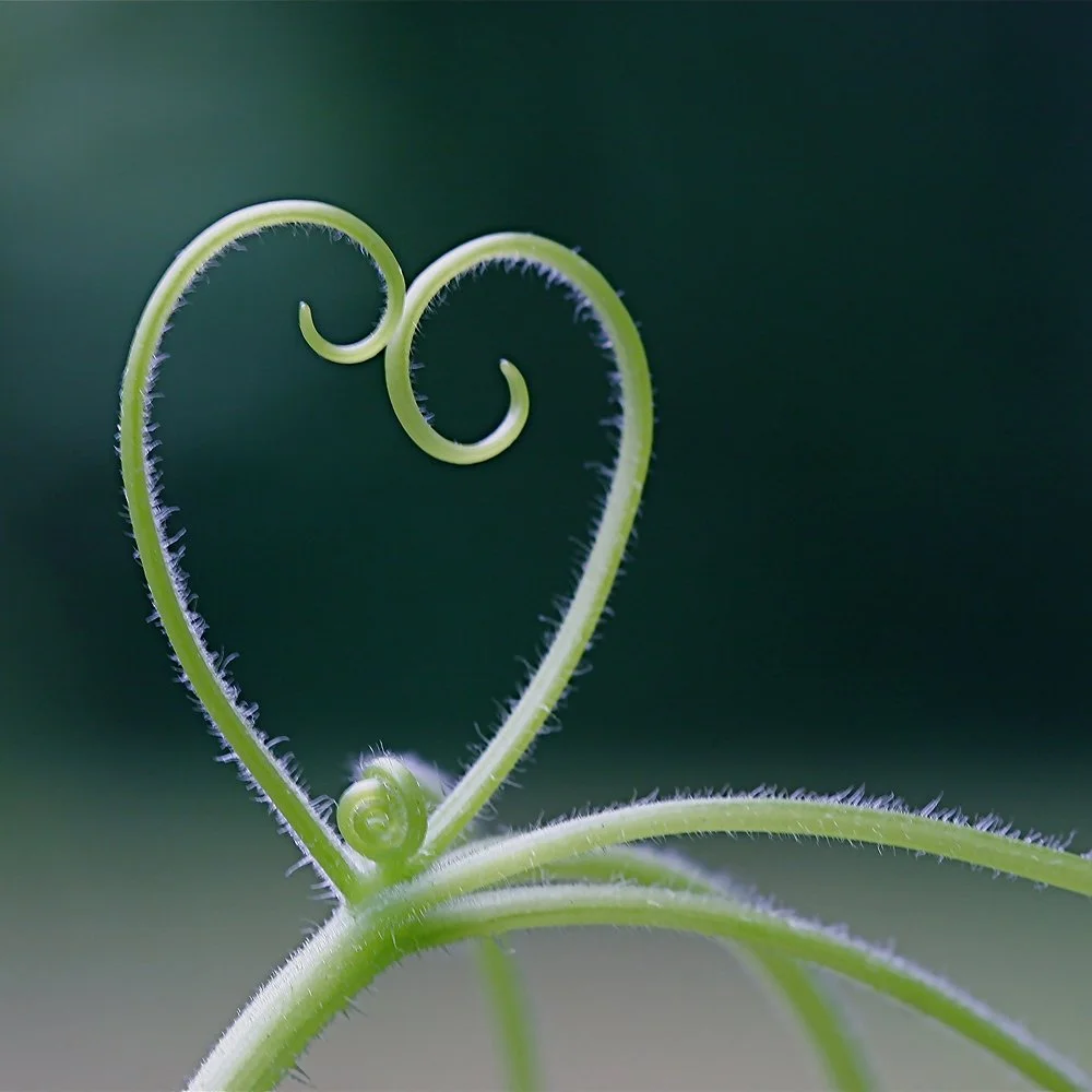 Is the invisible string theory harmful? What you need to know