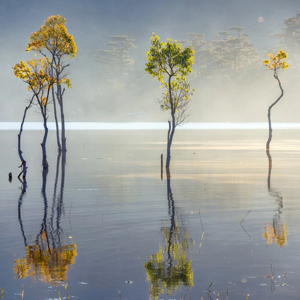 10 signs of parental alienation (and how to recover)