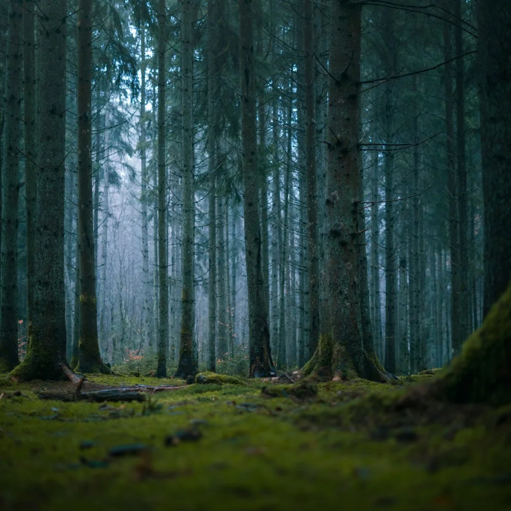 What are the most common phobias? Plus, how to treat them