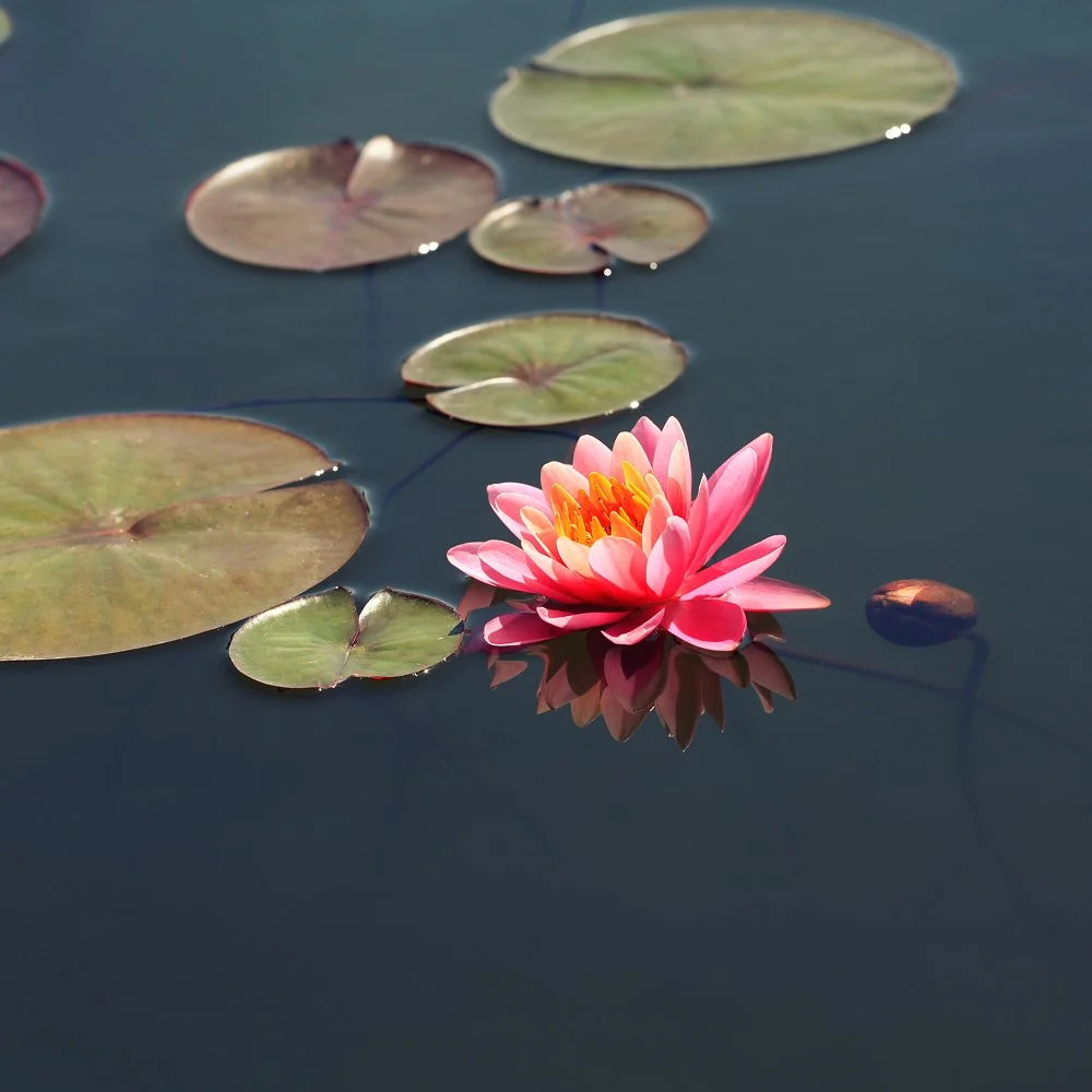 Meditation for moms: 9 ways to actually make it work