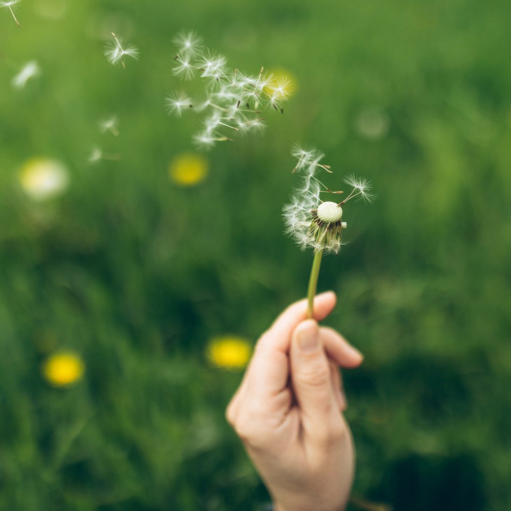 Why letting go can be so hard (and 8 ways to actually do it)