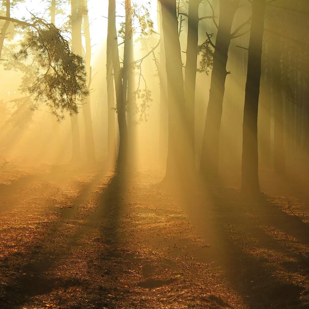 14 meditations to support your mental and emotional healing