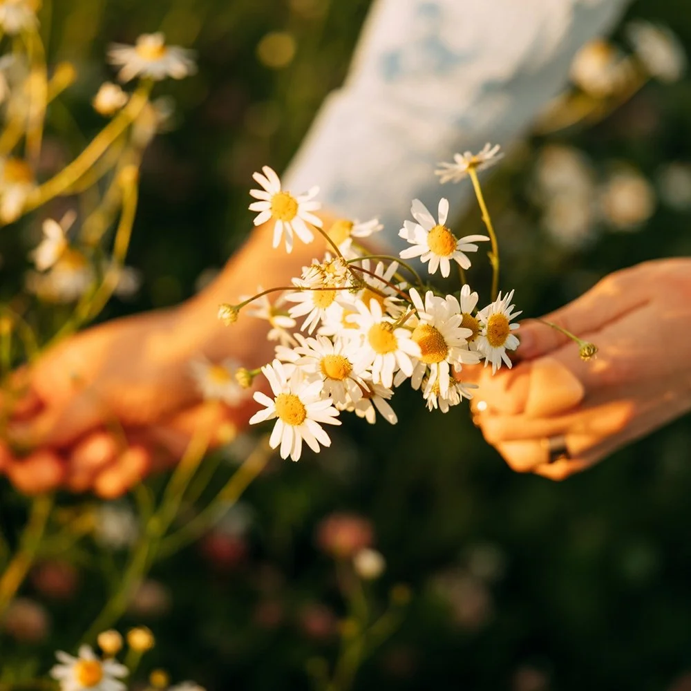 What is the spring equinox? Plus, 10 ways to celebrate