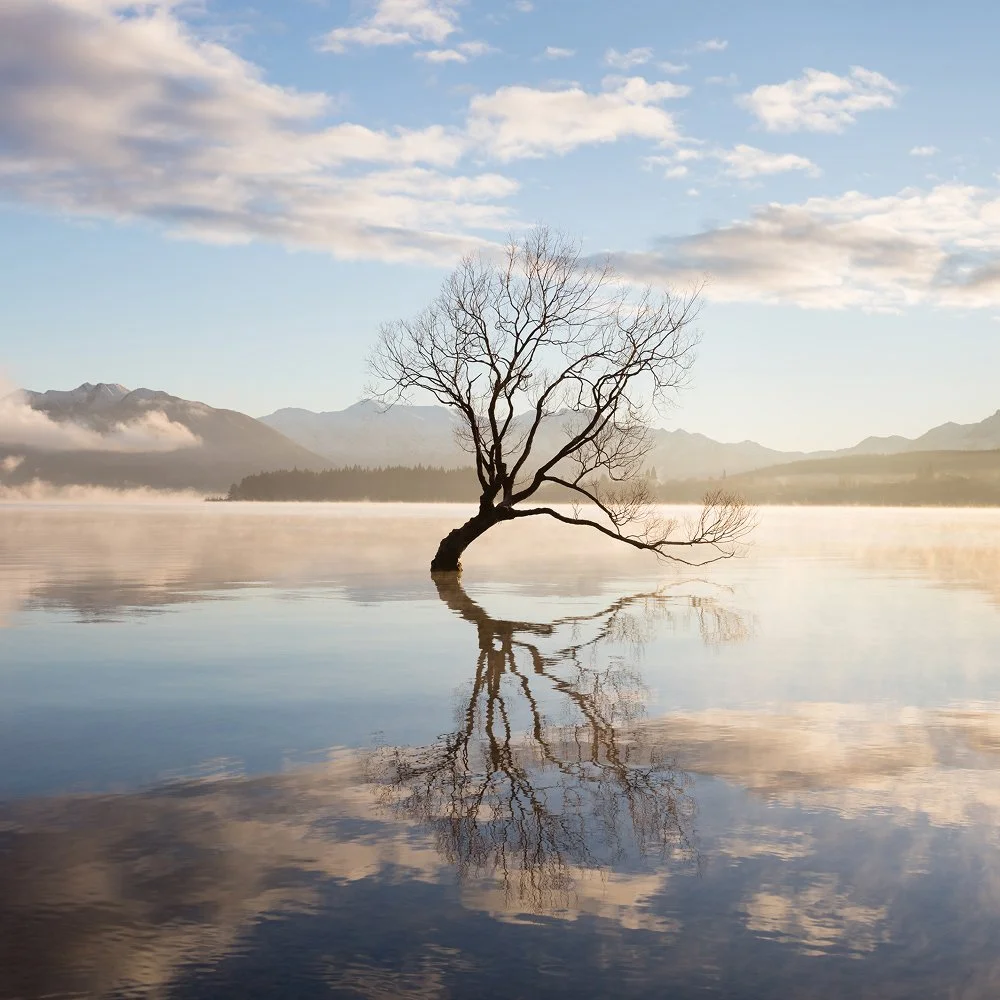 How to build a meditation practice that actually sticks