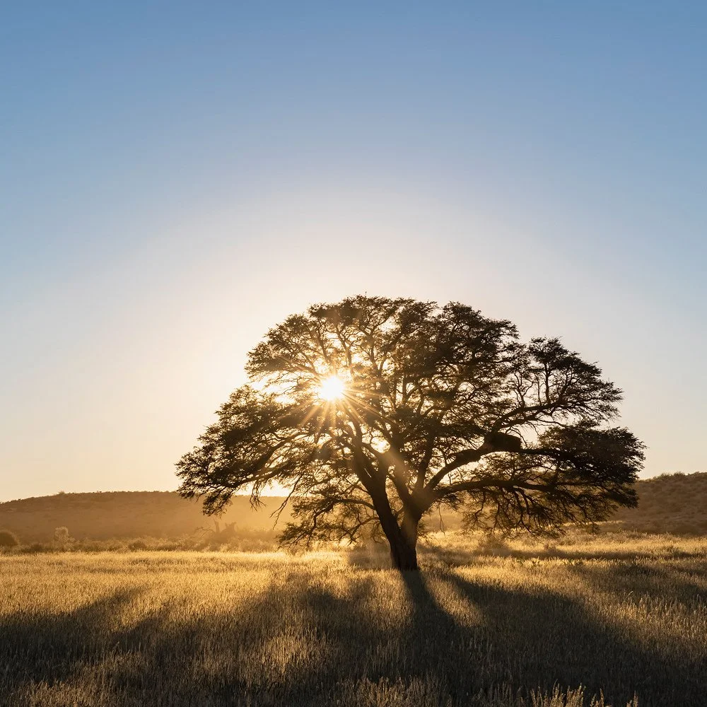 What is Mindfulness-Based Stress Reduction? Plus, how to try it