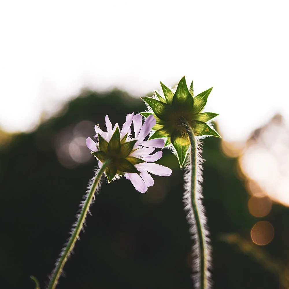 How to hold space for someone (without losing yourself)