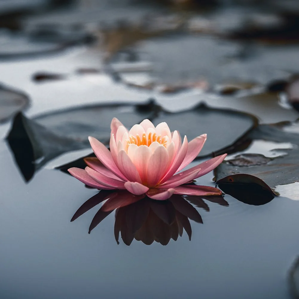 How to meditate for beginners: 8 tips to get started