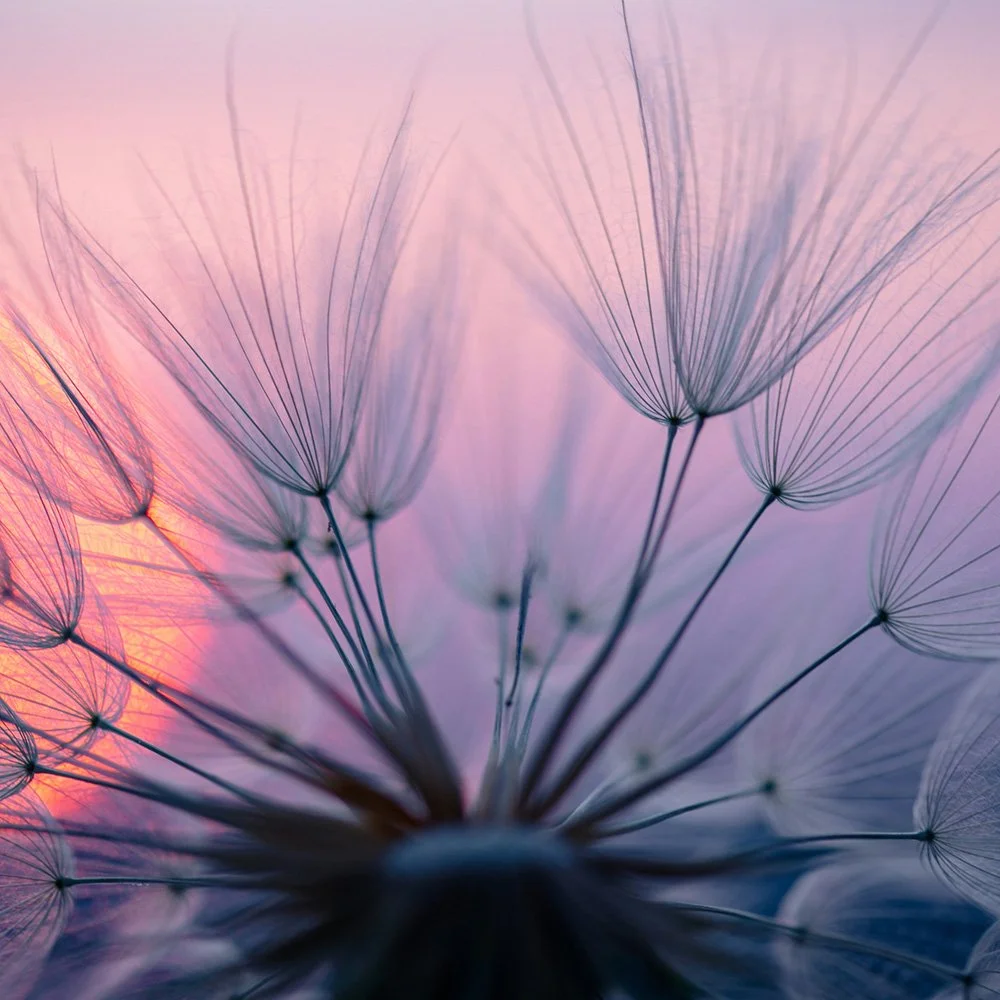 6 guided meditations to help you ease stress and anxiety