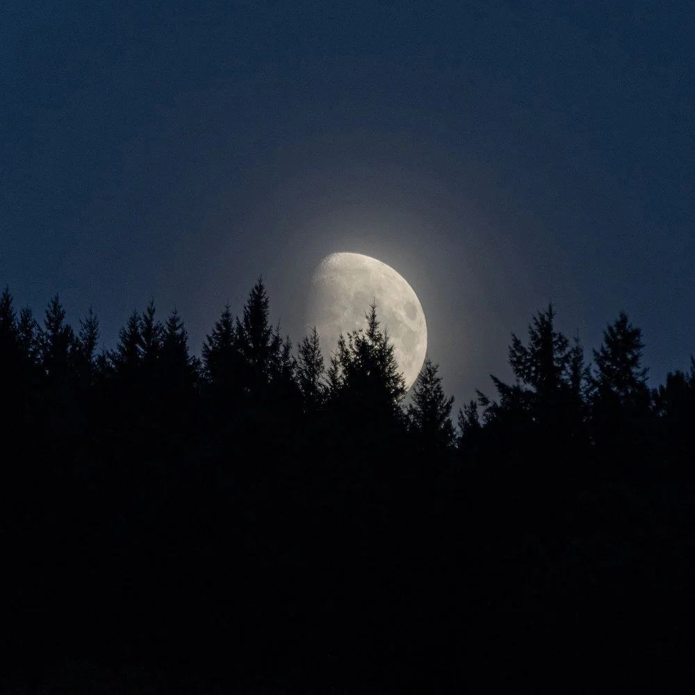 Do you have a fear of the dark? 7 ways to deal with nyctophobia