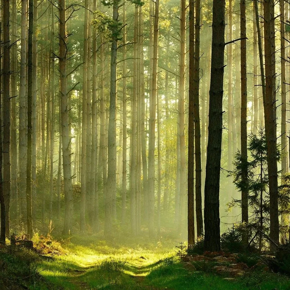 How to calm anxiety: 10 tips when your mind feels overloaded
