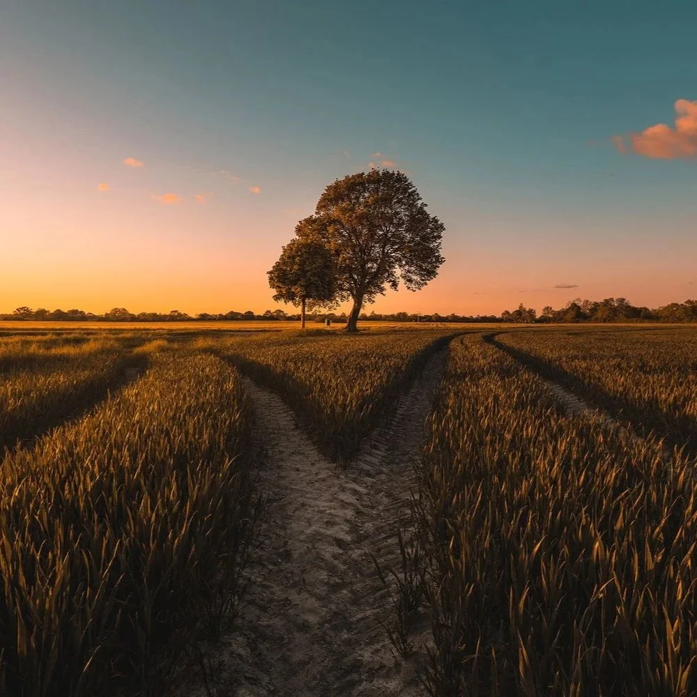 “Why am I so indecisive?” 6 tips to break the cycle