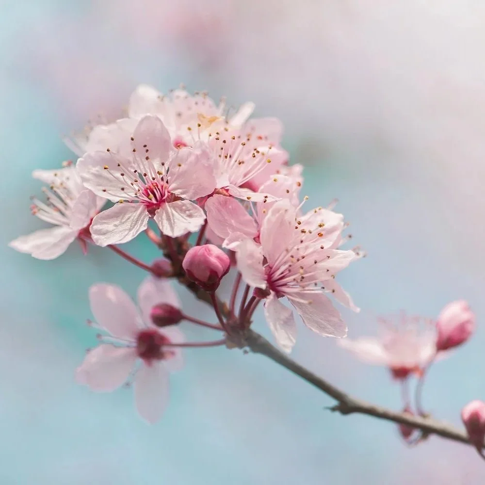 How to give yourself grace (even when it feels hard)