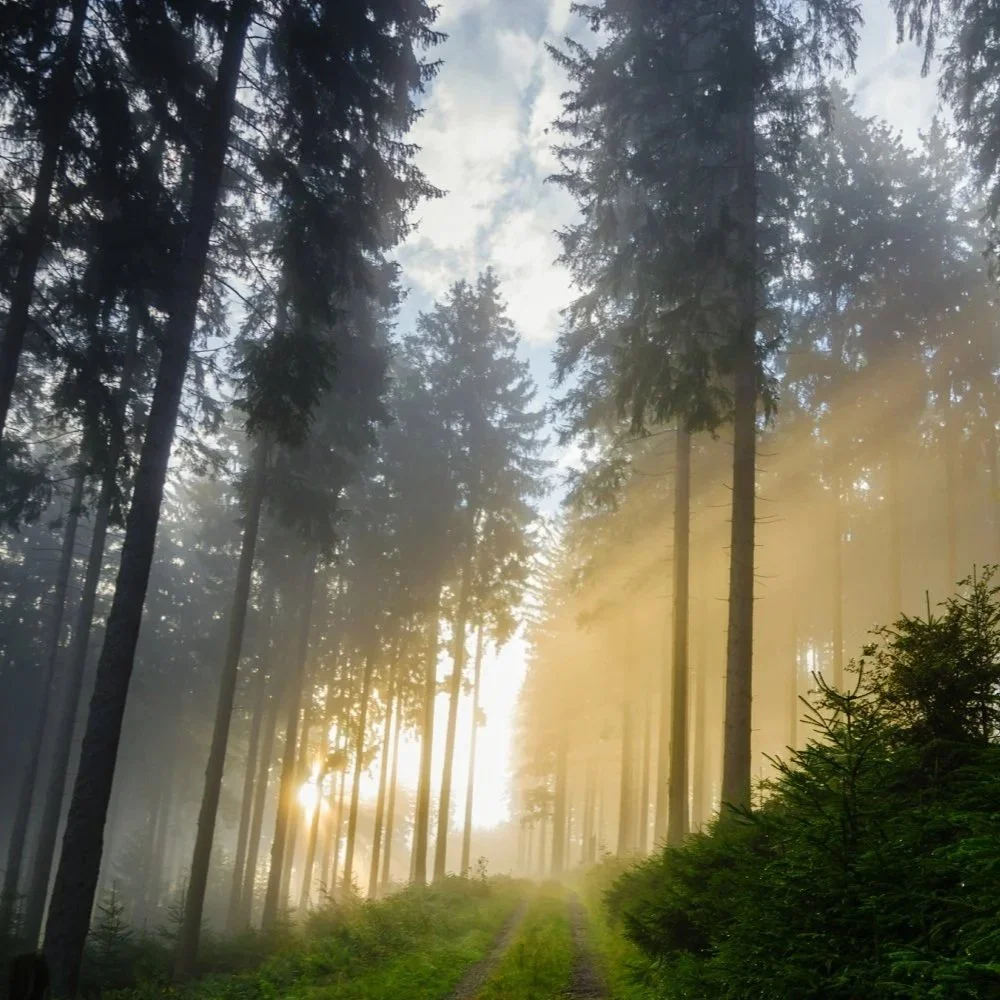 National Grief Awareness Day: why we need to talk about grief