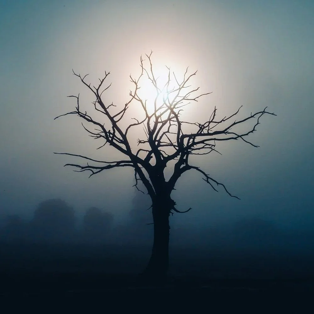 Struggling with anxiety about death? 7 tips to help you cope