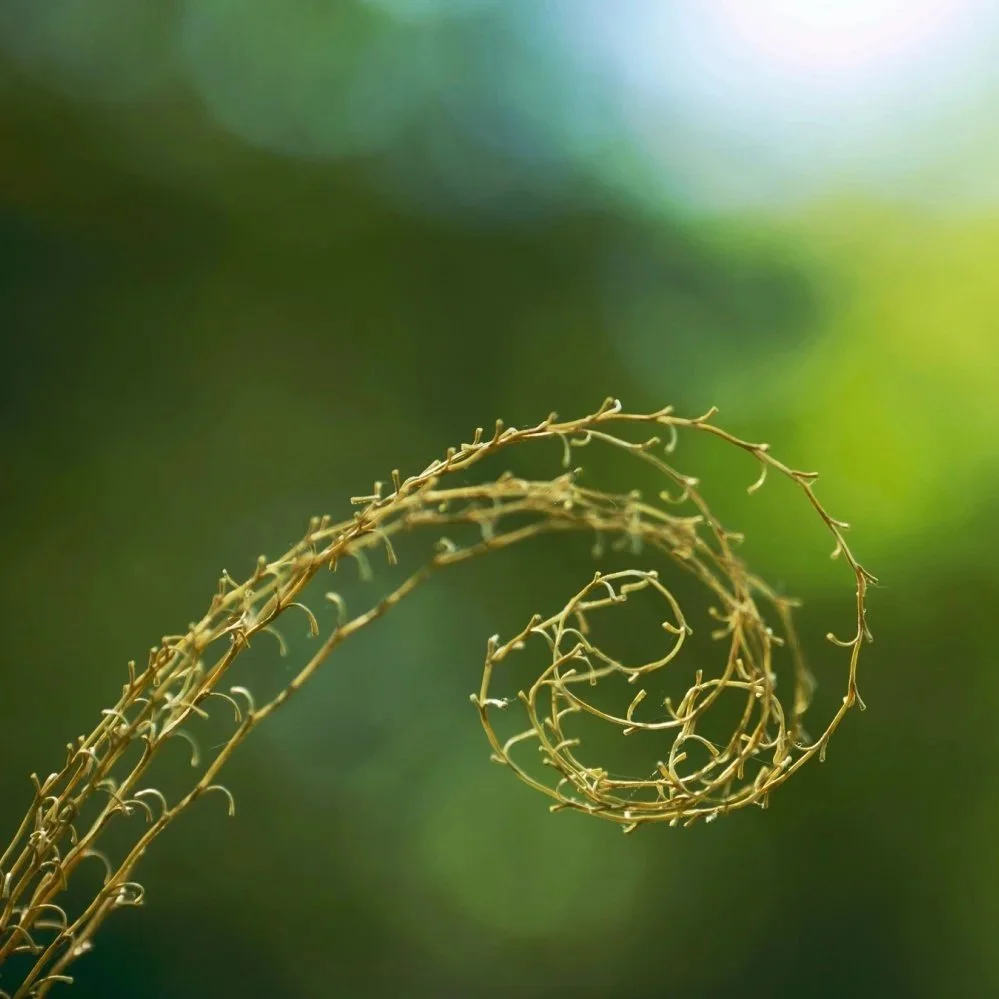 What is PCOS Awareness Month &amp; why is it now called PMOS?