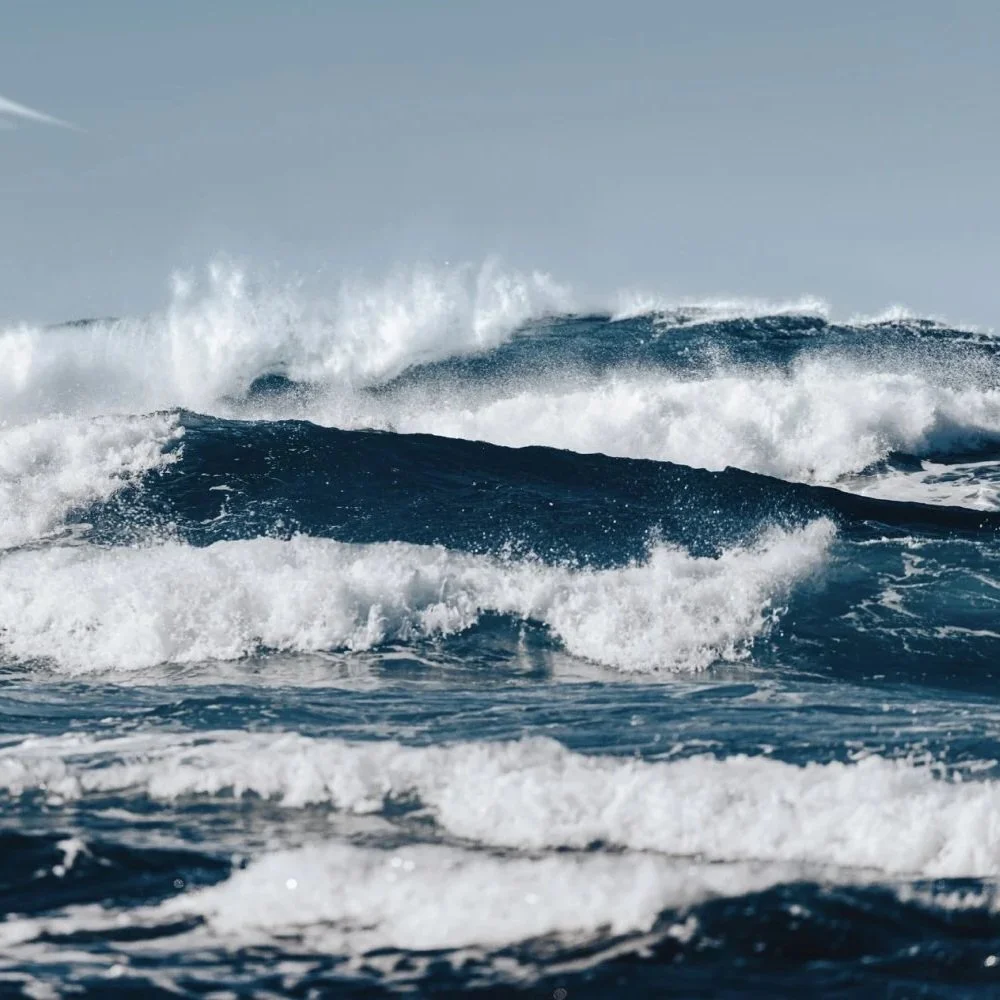 7 types of anxiety disorders (and how to deal with each one)