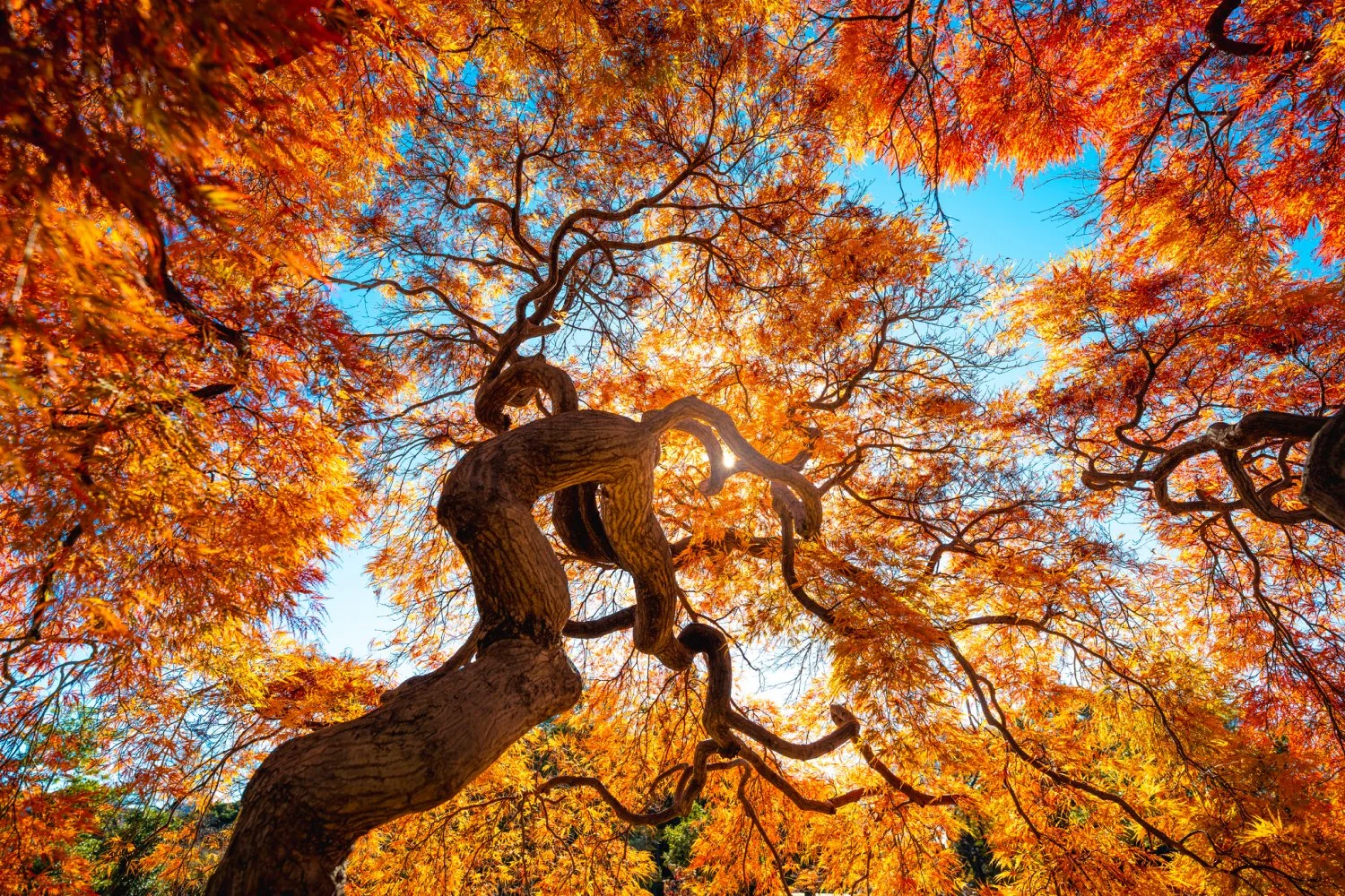 Fall equinox