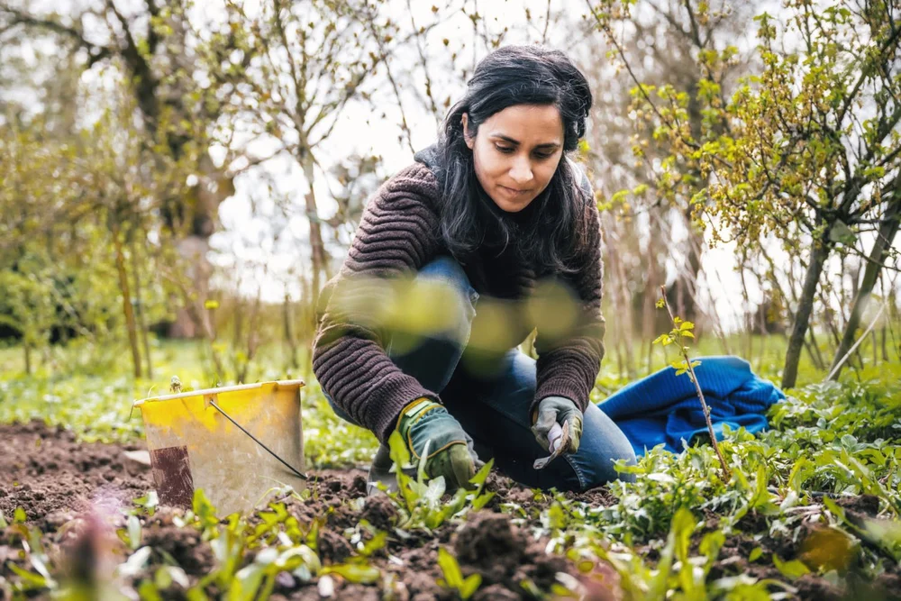 What are the benefits of gardening on mental health? — Calm Blog