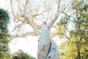 What it means to be “clingy” in a relationship (and how to stop) — Calm