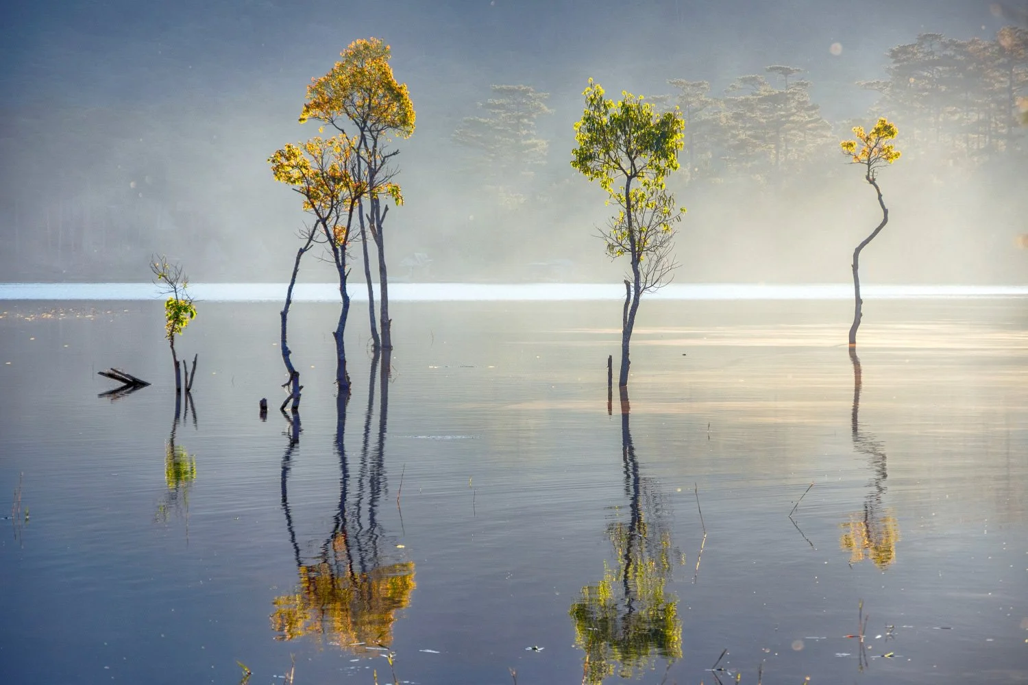 image of parental alienation