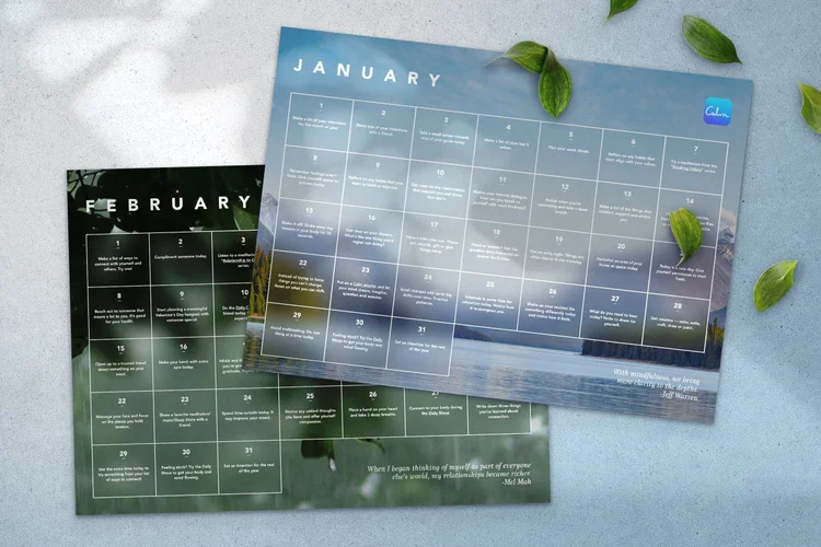 The Calm Calendar: Daily mindfulness prompts to support your wellbeing ...