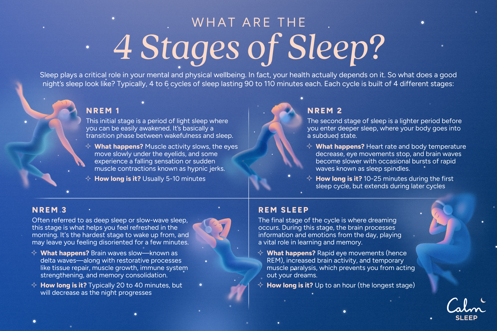 The 4 stages of sleep: NREM, REM, and your sleep cycle — Calm Blog