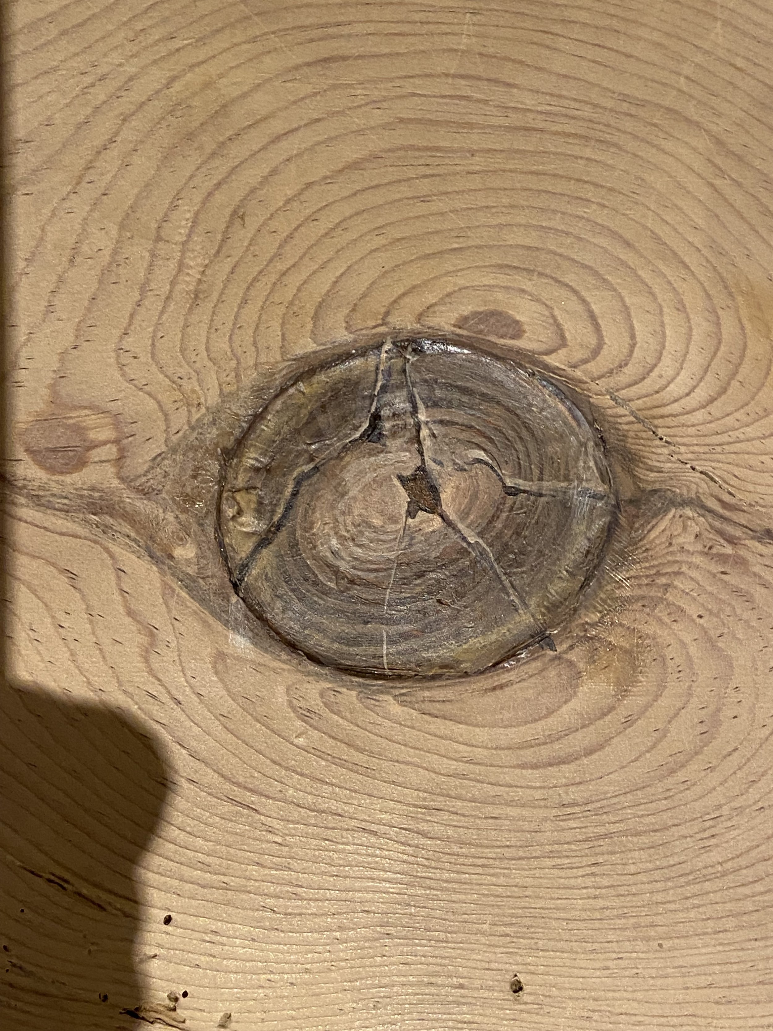 Faux wood knot
Scott Hewett design