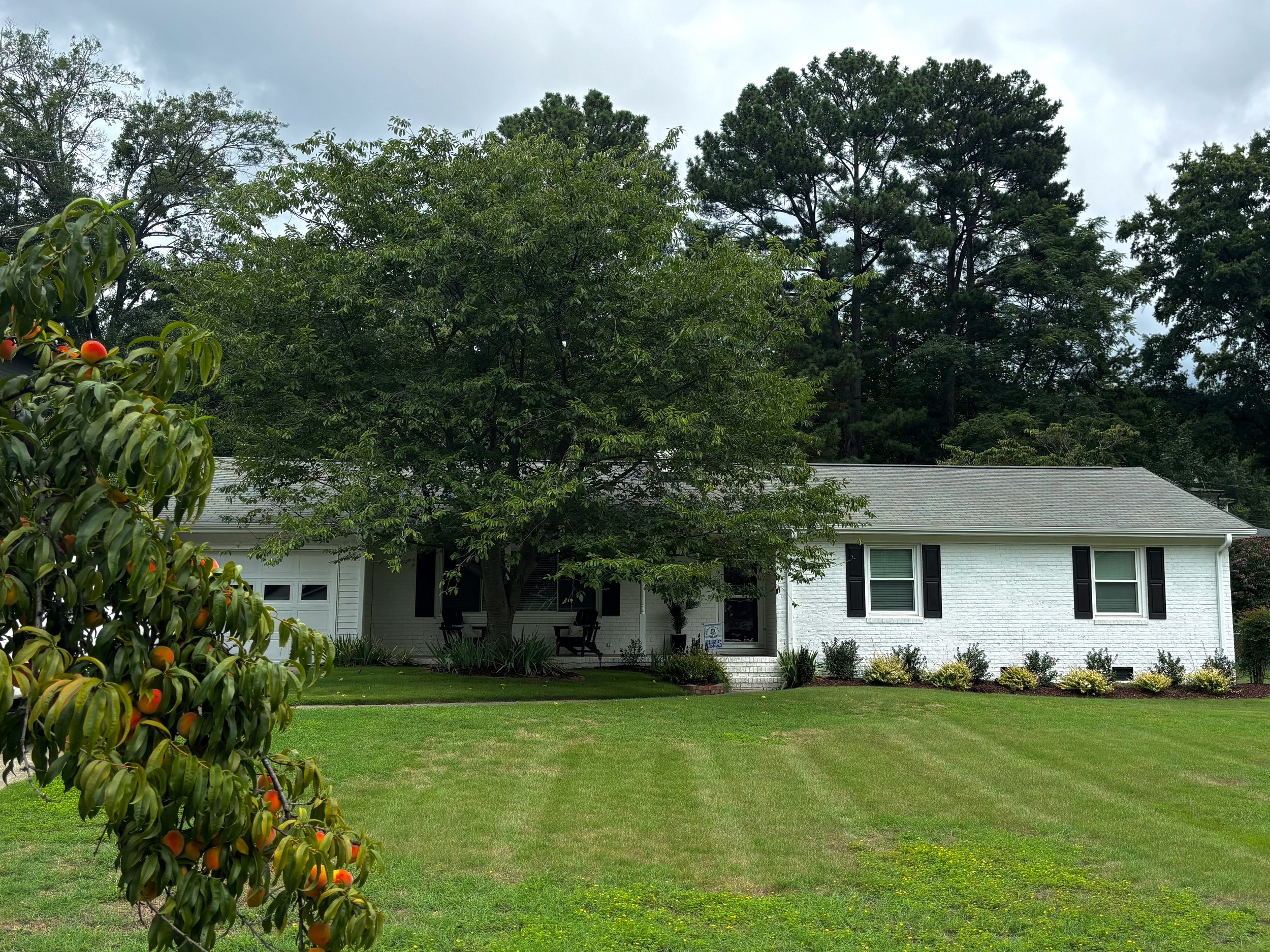 119 Crestview | Midtown | $3,995 | July 2026