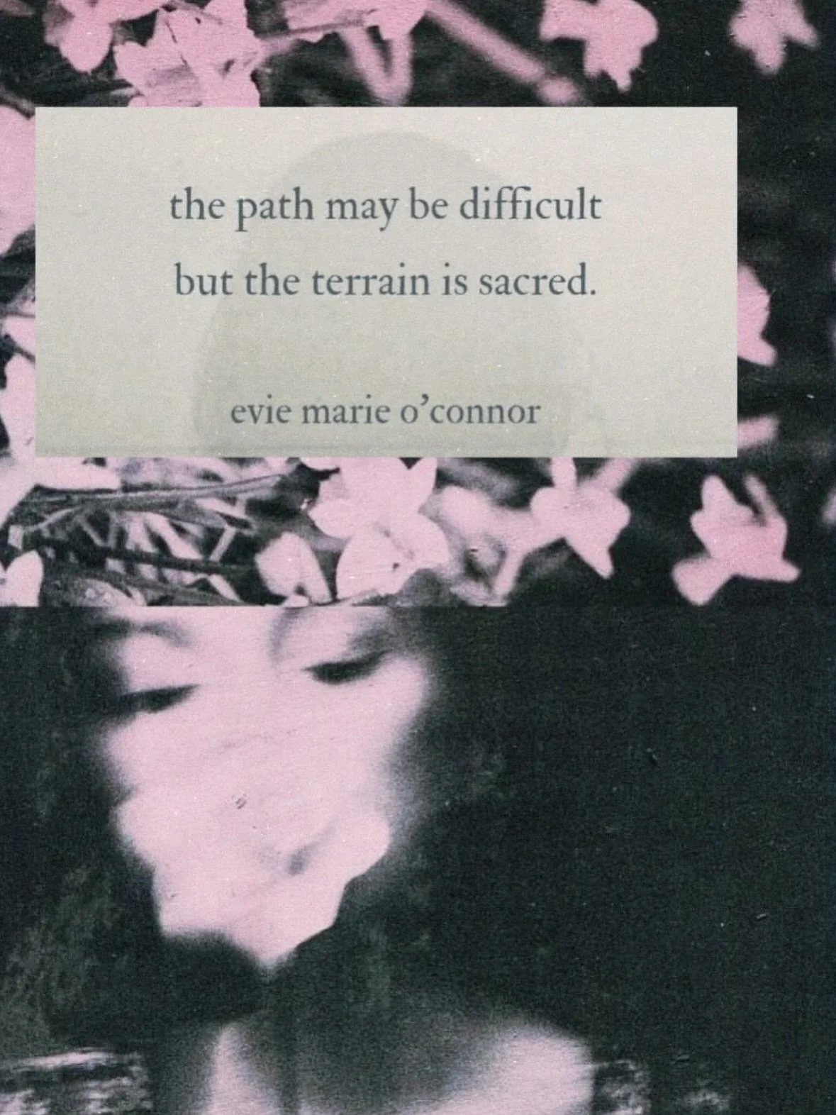 Posts I&rsquo;ve saved this month 🌙 December Vibes ☕️