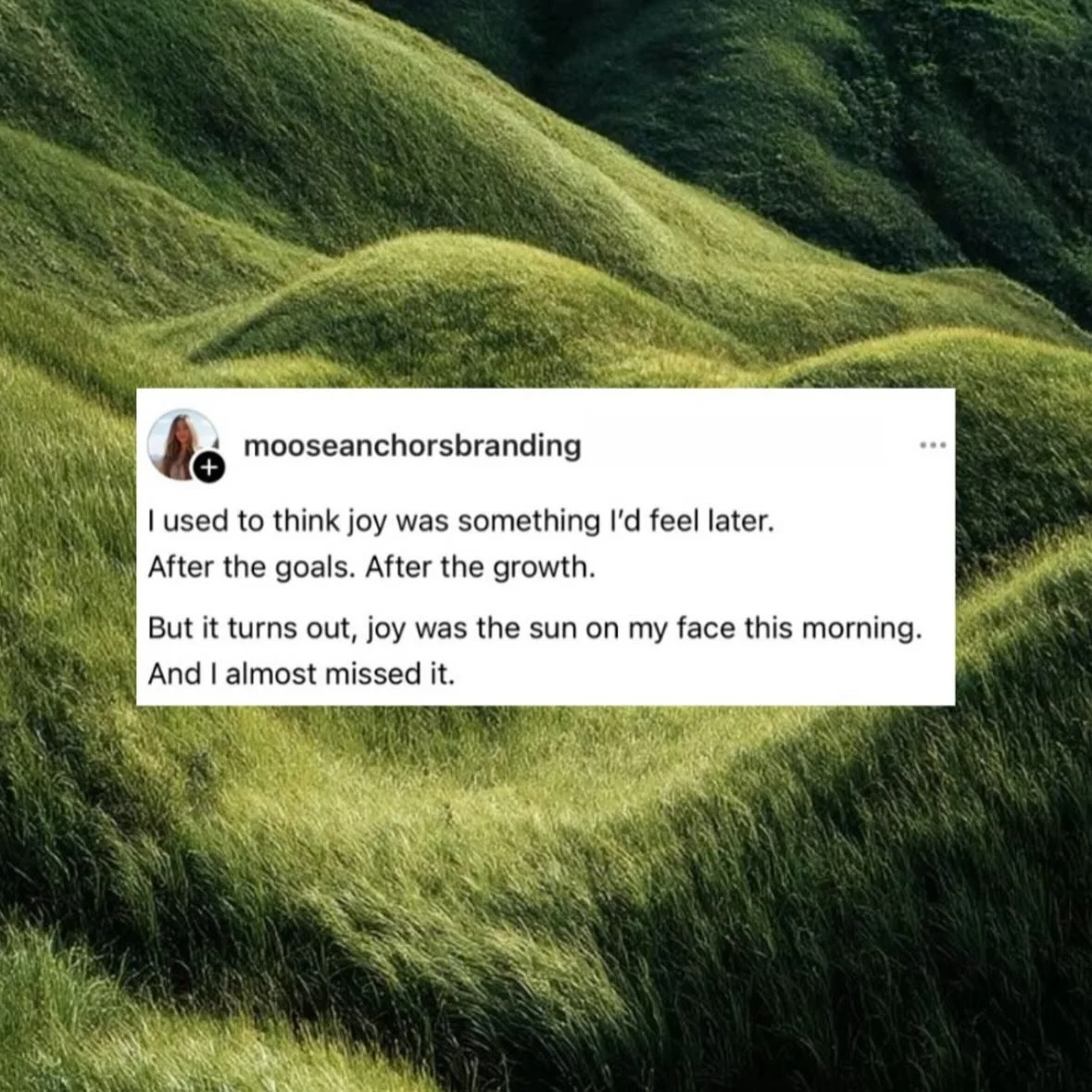 Posts I&rsquo;ve loved  recently and much needed reminders 〰️