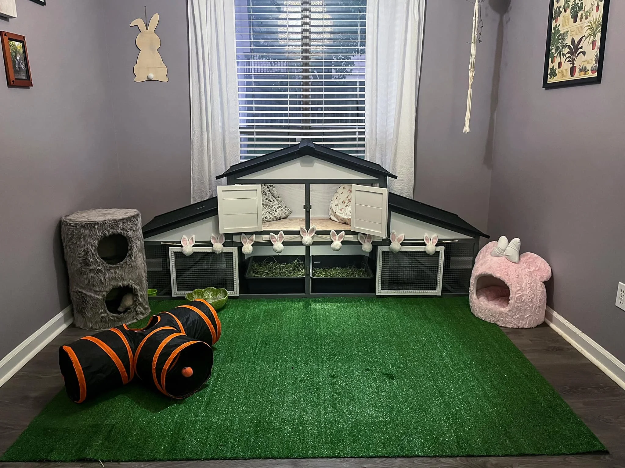 Indoor Enclosures and Free Roaming