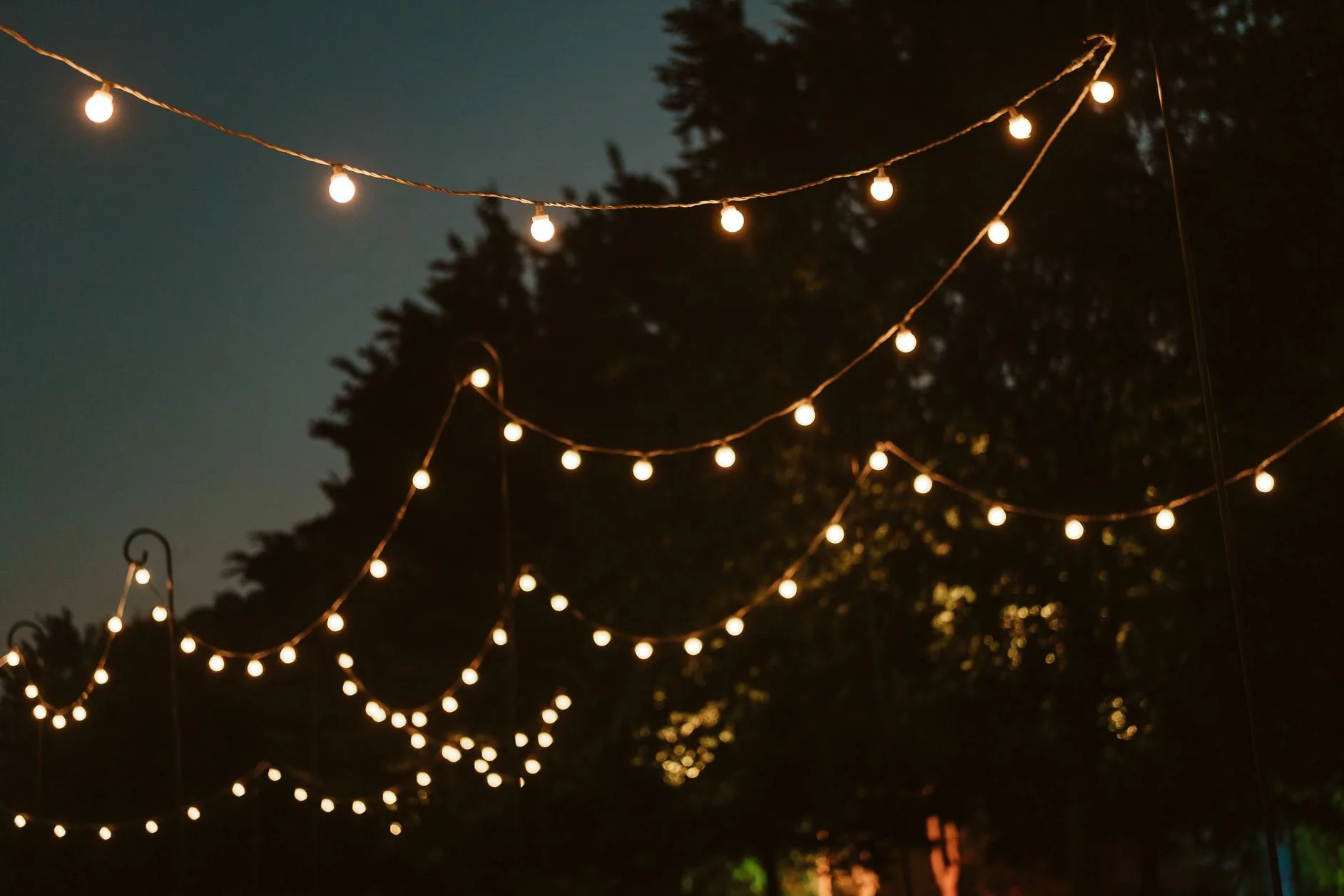 Frankie & Miles - Wedding-686 - Print.jpeg