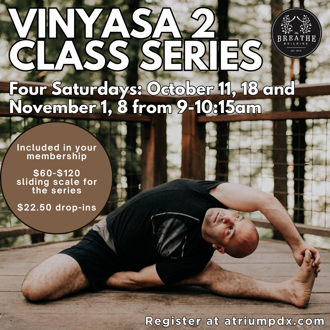 Vinyasa Level 2 Series
