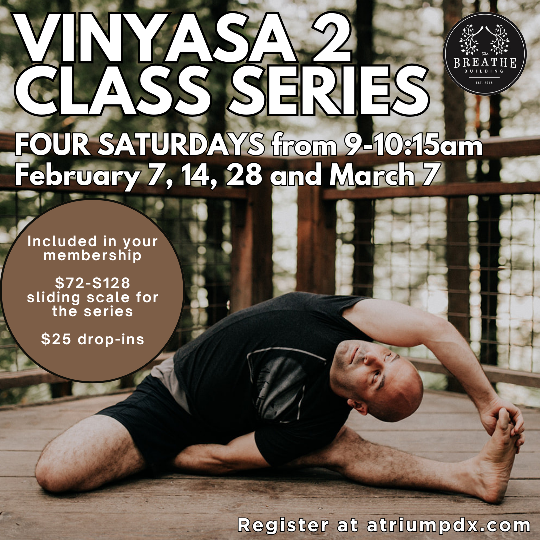 Vinyasa 2 Series 
