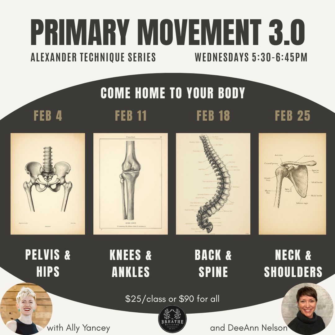 Primary Movement 3.0 