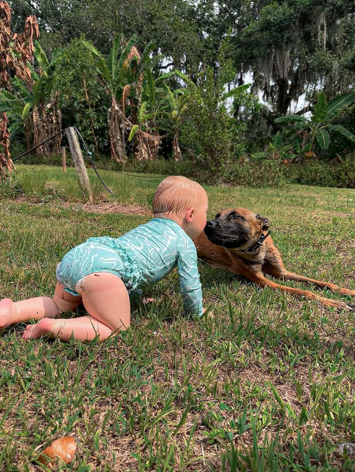 A young child crawling on grass outdoors, nose-to-nose with a relaxed dog lying on its side, surrounded by trees and greenery.