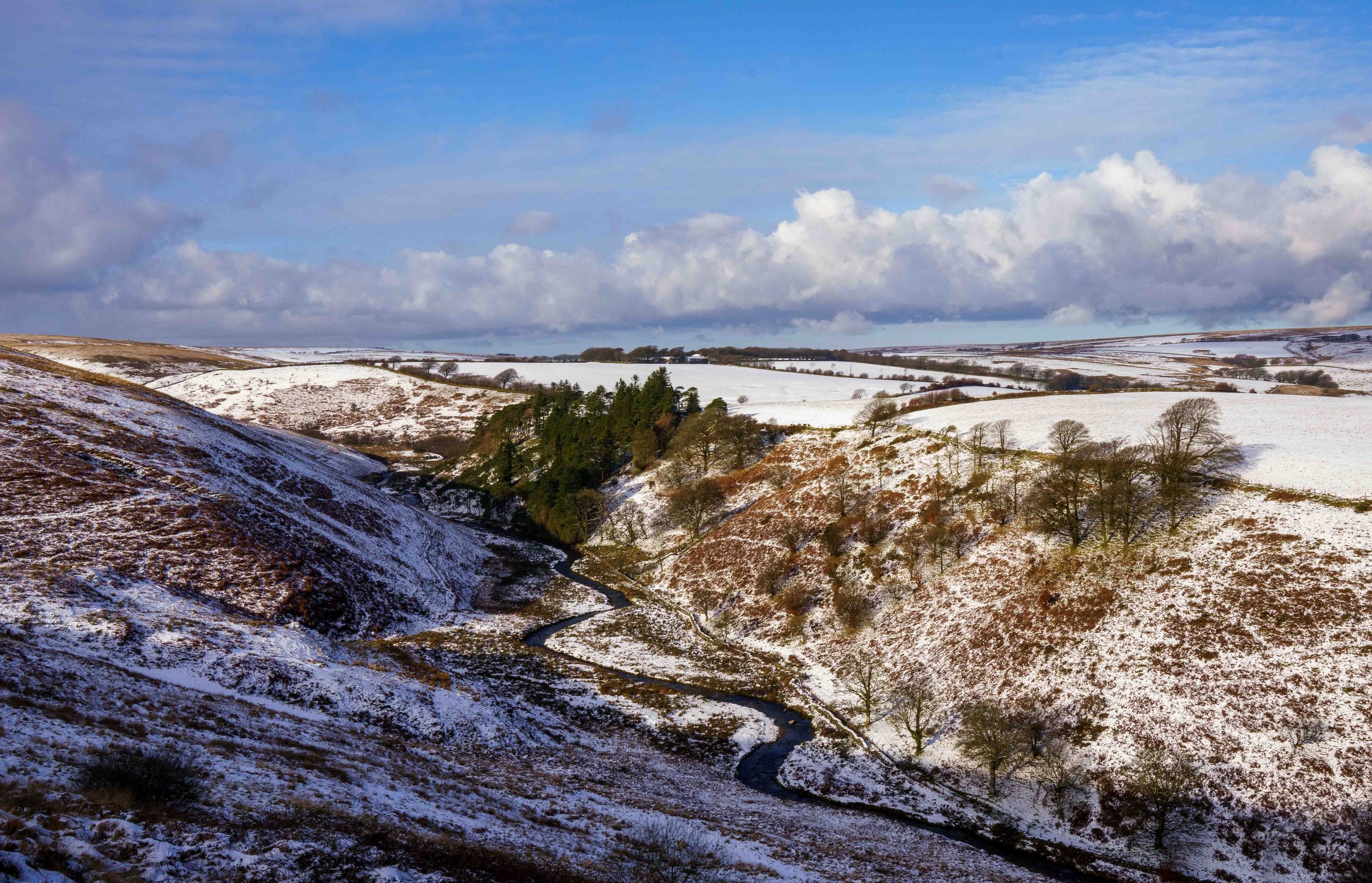 Cornham Brake in winter — ExmoorwithJack
