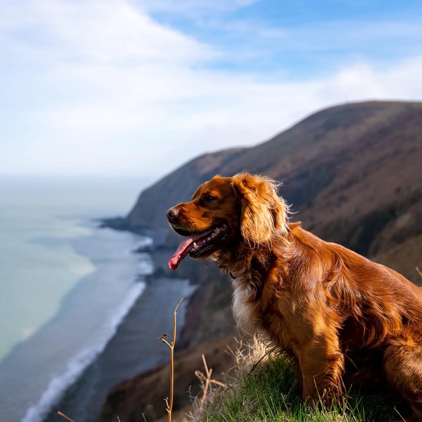 Lynmouth, Countisbury, Watersmeet