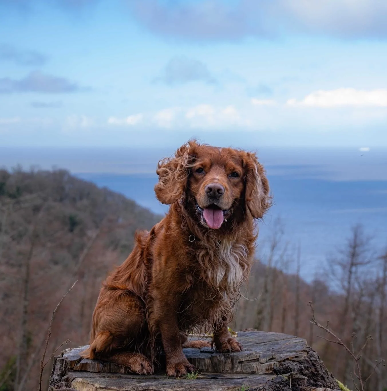 Woody Bay, Heddon Valley and Parracombe