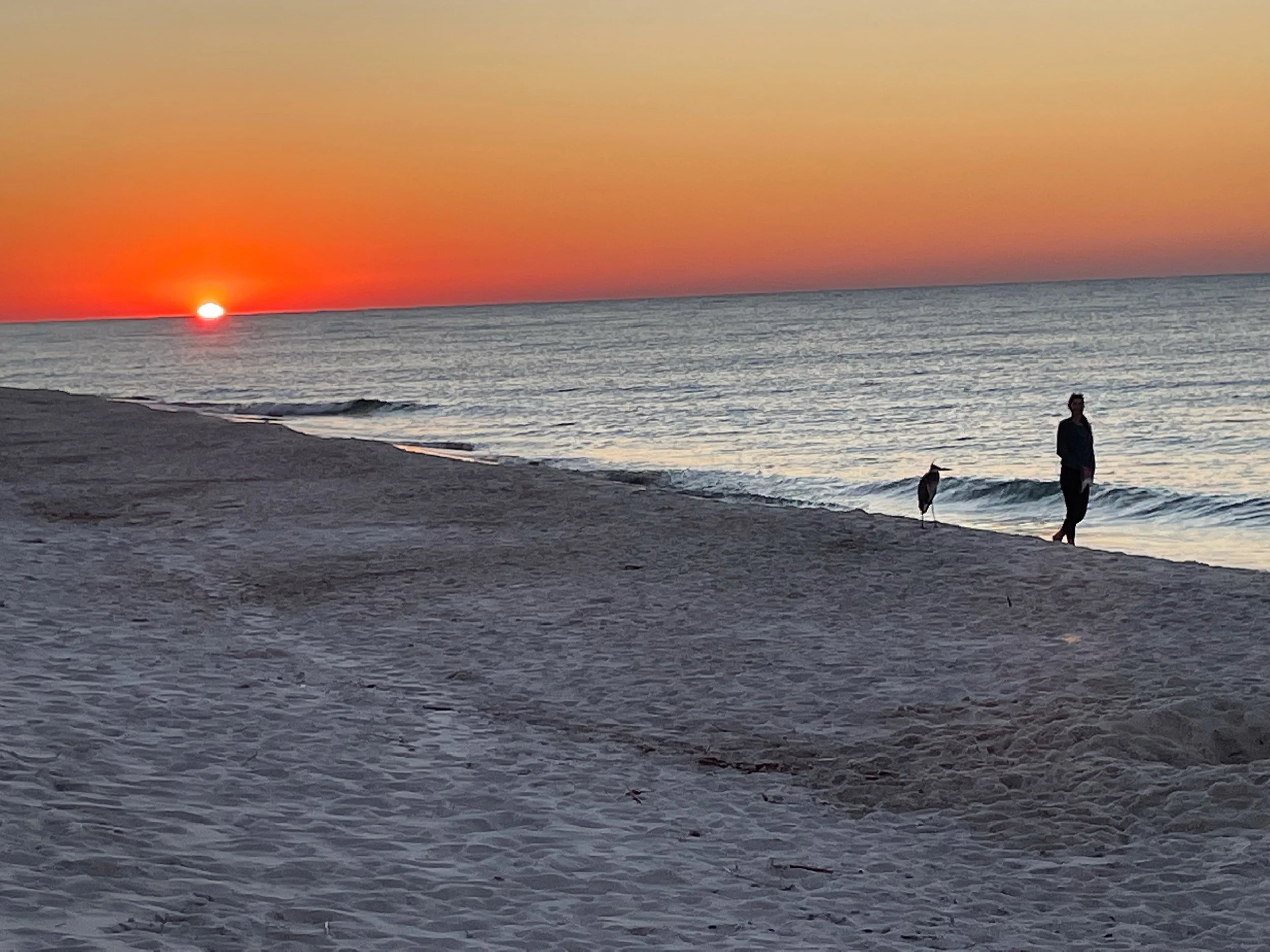 “My sheep hear My voice”