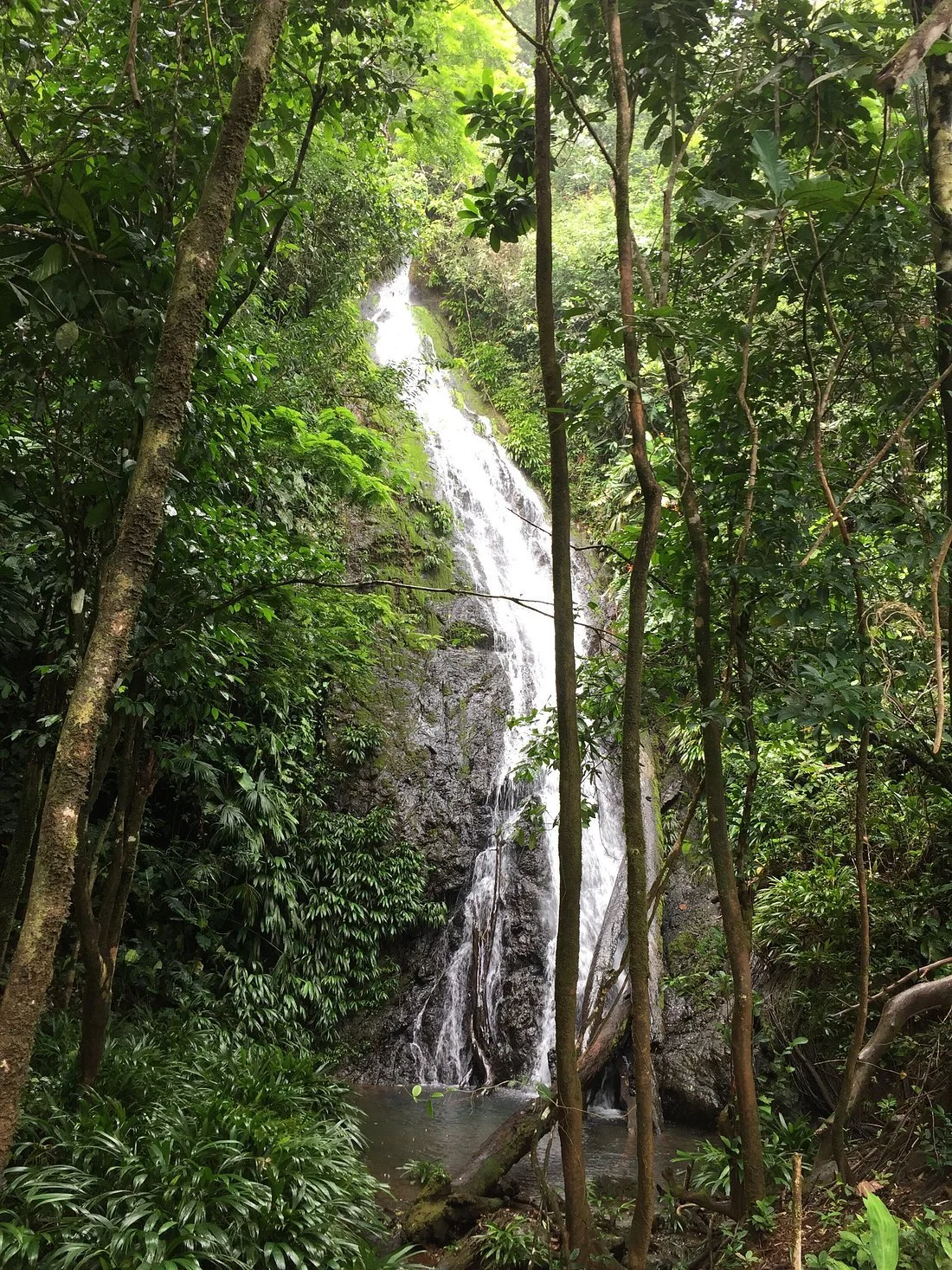 Cascada el Tigre Bahia Solano Choco Ecotourspuravida Nature Tours Colombia.jpg