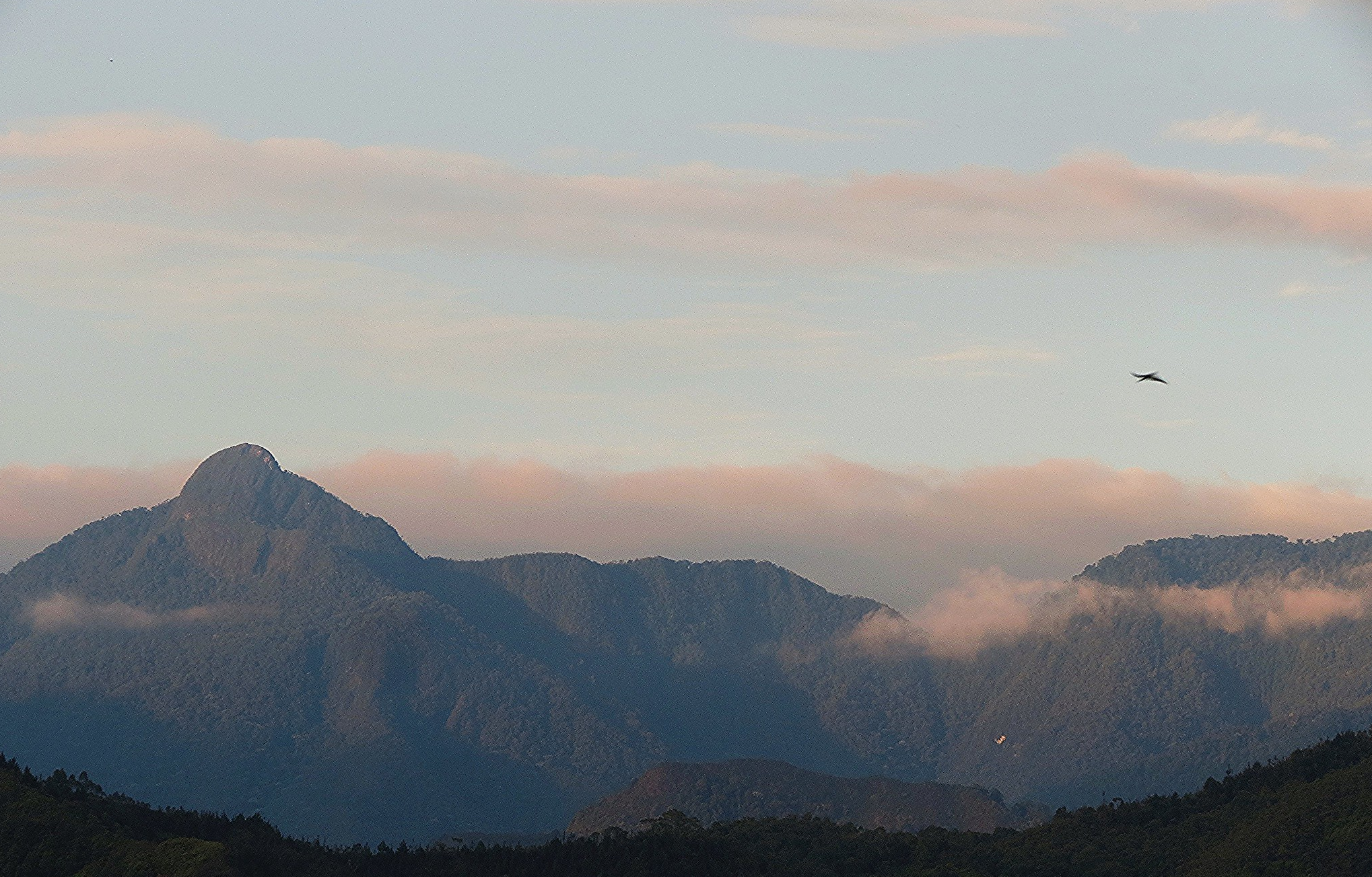 Scenic view of a mountain range with a prominent peak, surrounded by clouds and a sky with soft clouds and a bird in flight.