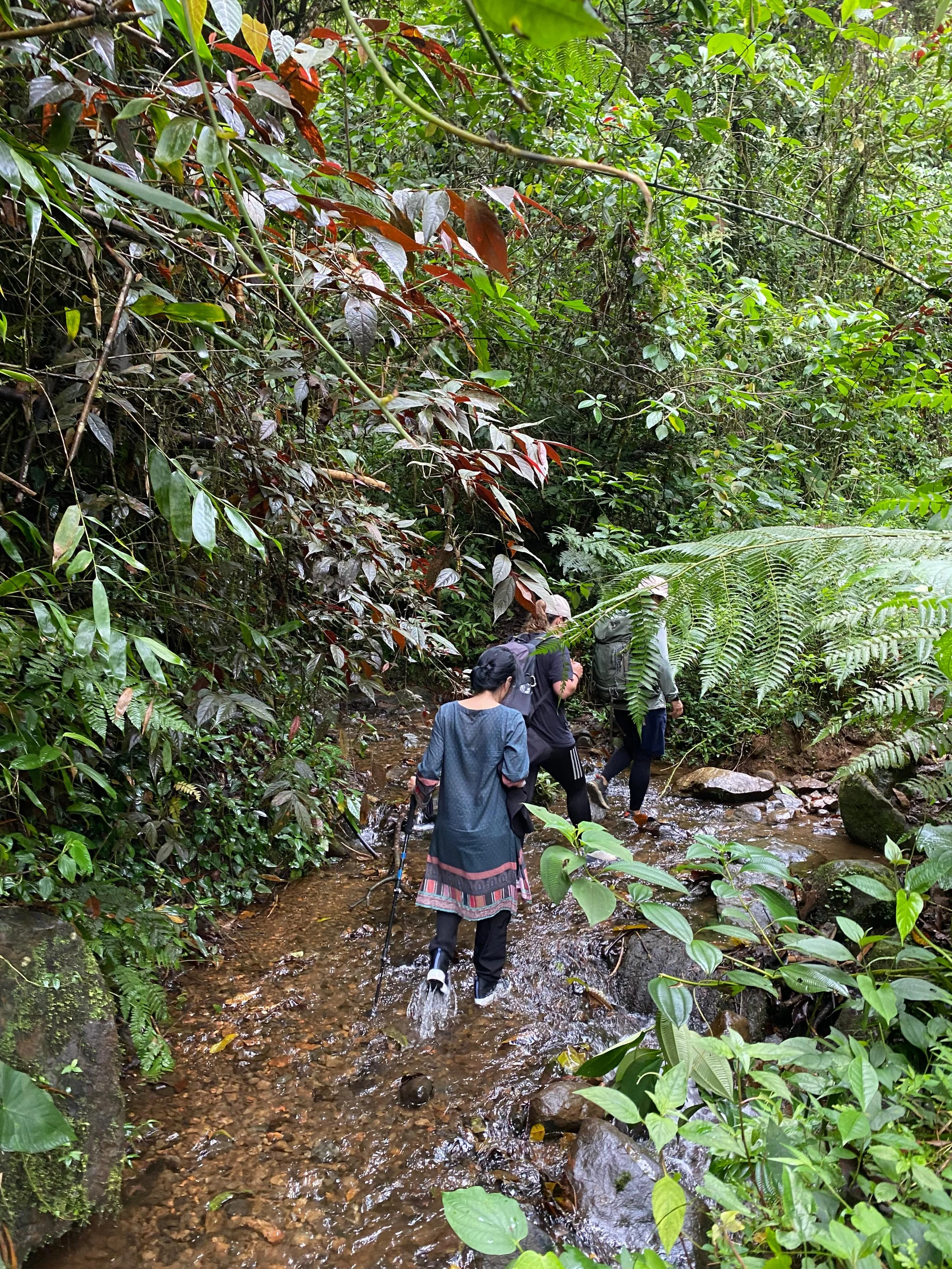 WhatsApp Image 2025-10-28 at 11.41.42 (1).jpeg