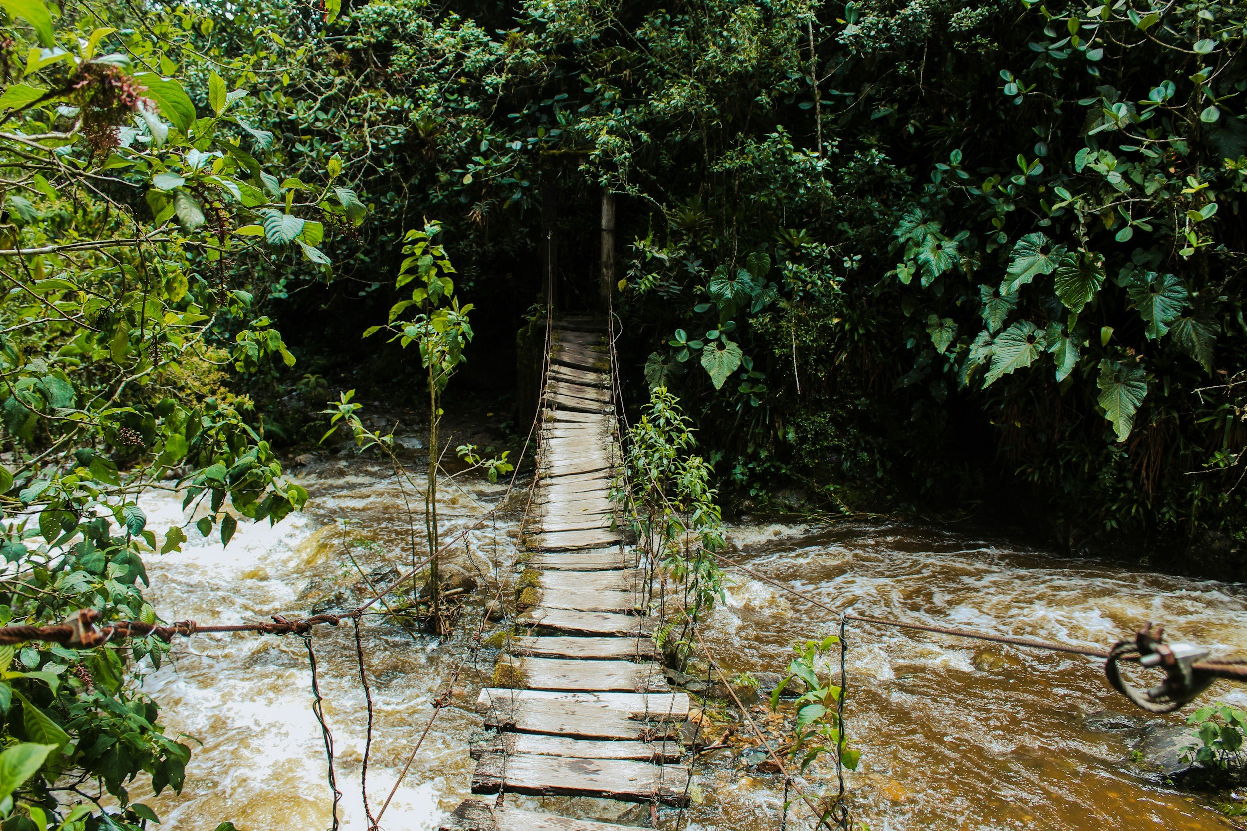 A narrow wooden suspension bridge crossing over a flowing river surrounded by dense green tropical foliage.